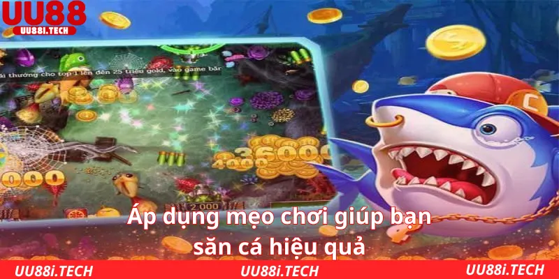 Áp dụng mẹo chơi giúp bạn săn cá hiệu quả
