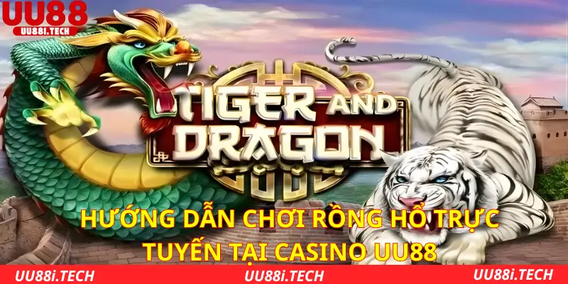 Hướng dẫn chơi Rồng Hổ trực tuyến tại Casino UU88