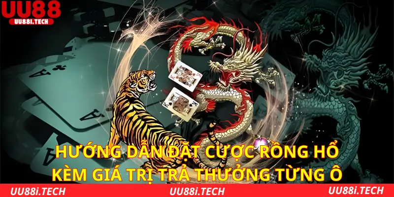 Hướng dẫn đặt cược Rồng Hổ kèm giá trị trả thưởng từng ô