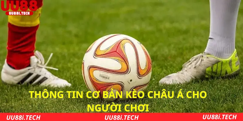 Thông tin cơ bản kèo châu Á cho người mới