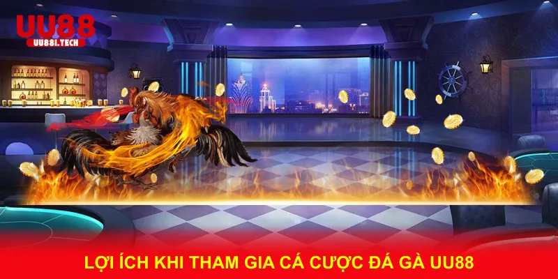 Lợi Ích Khi Tham Gia Cá Cược Đá Gà UU88