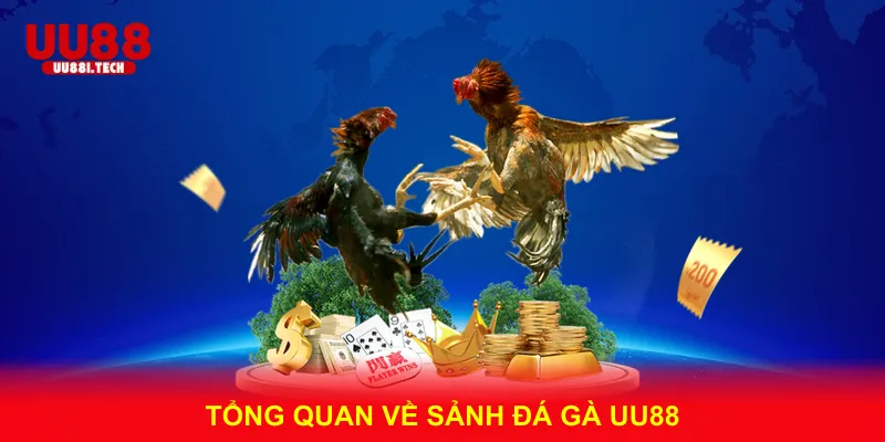 Tổng Quan Về Sảnh Đá Gà UU88